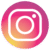 ins-icon