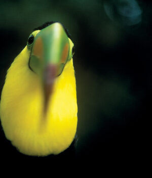 Fotos-Jorge-Carlos-Horiz-21