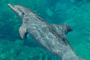 Fotos-Jorge-Carlos-Horiz-5